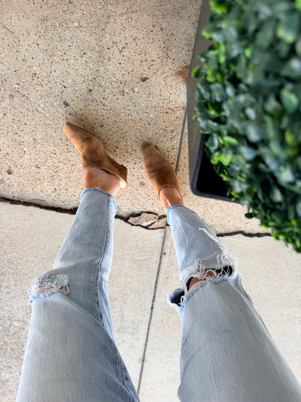 DOLCE VITA | HILAH IN COGNAC SUEDE